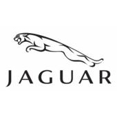 Jaguar Flip or fixed key blades cut to key code